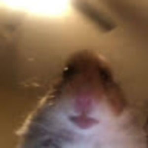 Meet your Posher, Gabriela